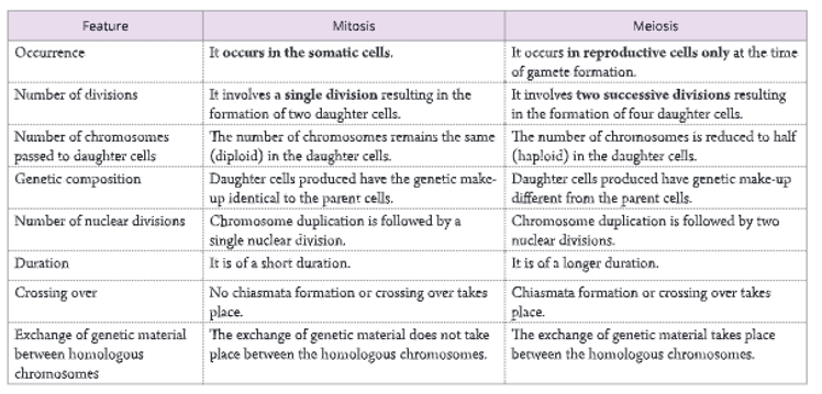 Cell-cycle-and-cell-division-Differences-between-mitosis-and-meiosis-6