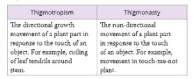 Chemical-Coordination-in-plants-Differences-between-thigmotropism-and-thigmonasty 