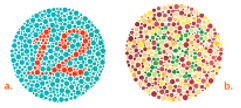 Heredity-and-genetics-Plates-to-test-for-colour-blindness-12