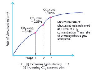 Photosynthesis Effect of increasing light intensity and co2 o rate of Photosynthesis
