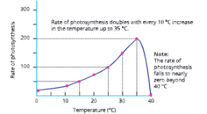 Photosynthesis Effect of temperature on the rate of Photosynthesis