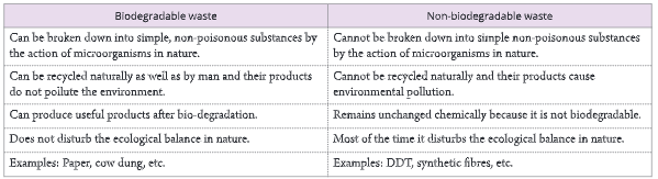Pollution-Difference-between-biodegradable-and-non-biodegradable -wastes-12