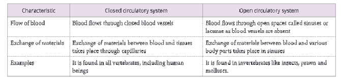 The-circulatory-system-Differences-between-closed-circulatory-system-and-open-circulatory-system 