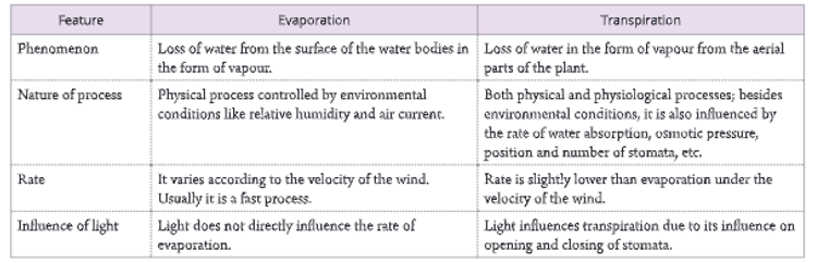 Transpiration-Differences-between-evaporation-and-transpiration