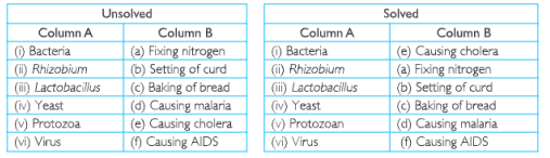science class 8 chapter 2 Match the Organisms in column