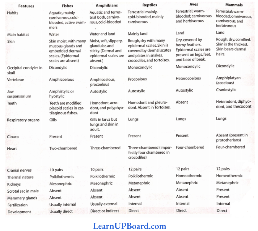 NEET Biology Animal Kingdom Comparison Among The Various Classes Of Vertebrata