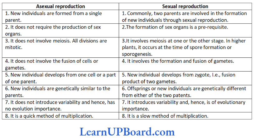 NEET Biology Reproduction In Organisms Difference between asexual and sexual reproduction