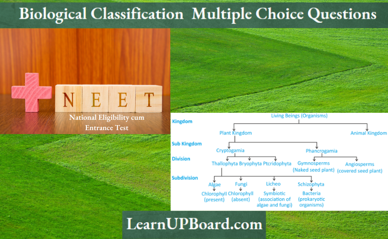 Biological Classification Multiple Choice Question and Answers