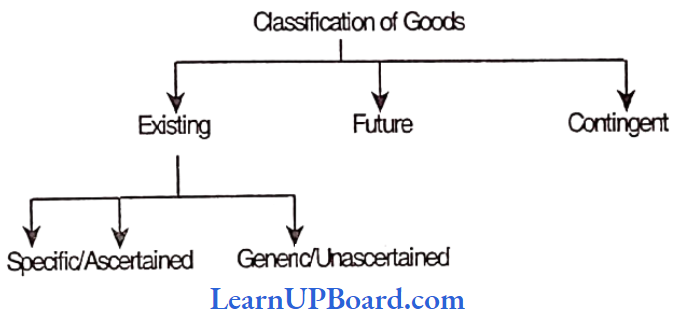 Formation Of The Contract Of Sale Classification Of Goods