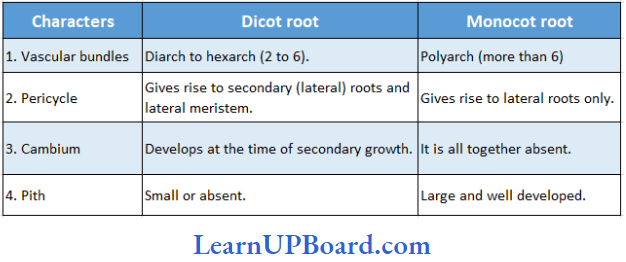 NEET Biology Anatomy Of Flowering Plants Differences Between Dicot And Monocot Root