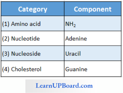 NEET Biology Biomolecules Category And Components