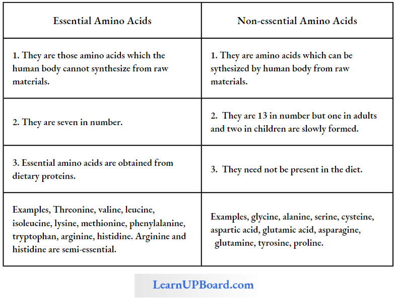 NEET Biology Biomolecules Differences Between Essential And Non Essential Amino Acids