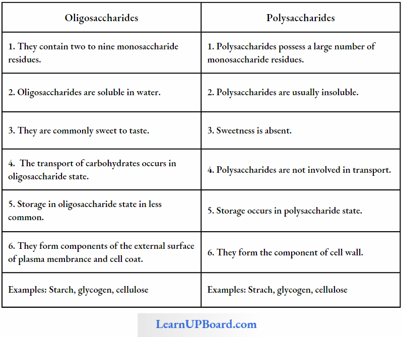NEET Biology Biomolecules Differences Between Oligosaccharides And Polysaccharides
