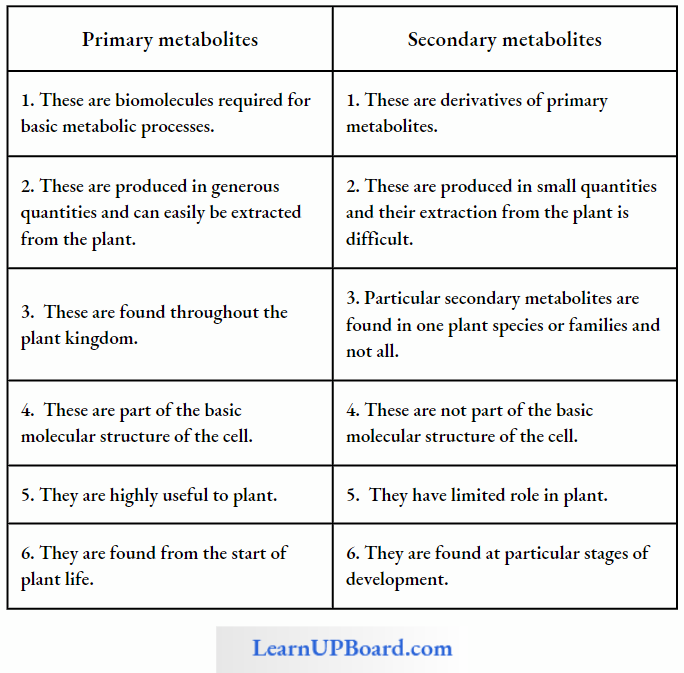 NEET Biology Biomolecules Differences Between Primary And Secondary Metabolites