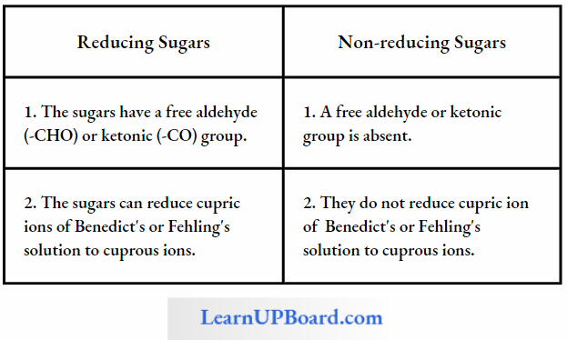 NEET Biology Biomolecules Differences Between Reducing And Non Reducing Sugars