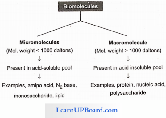 NEET Biology Biomolecules Types Of Molecules