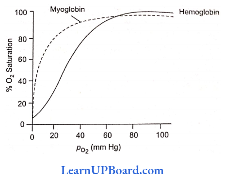 NEET Biology Breathing And Exchange Of Gases Dissociation Curve For Hemoglobin And Myoglobin