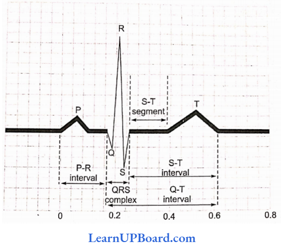 NEET Biology Breathing And Exchange Of Gases ECG Of A Single Heart Beat