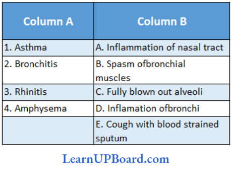 NEET Biology Breathing And Exchange Of Gases Match The Disorders Given In Column A And B