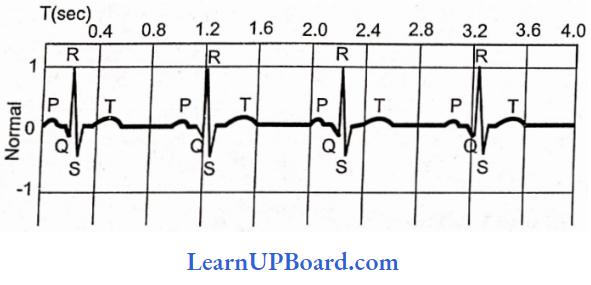 NEET Biology Breathing And Exchange Of Gases Normal Electrocardiogram