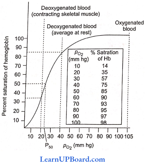 NEET Biology Breathing And Exchange Of Gases Oxygen Hemoglobin Dissociation Curve