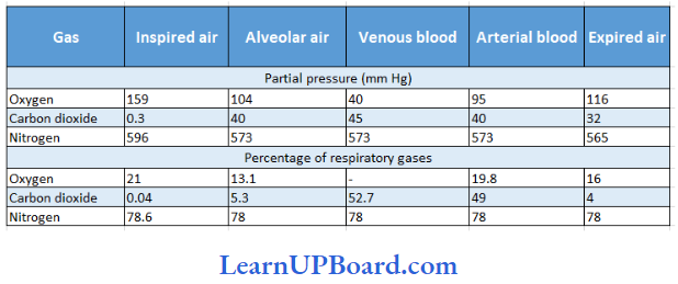 NEET Biology Breathing And Exchange Of Gases Partial Pressure And Percentage Of Respiratory Gases