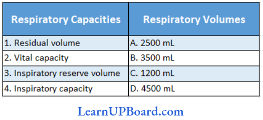 NEET Biology Breathing And Exchange Of Gases Respiratory Capacities And Volumes