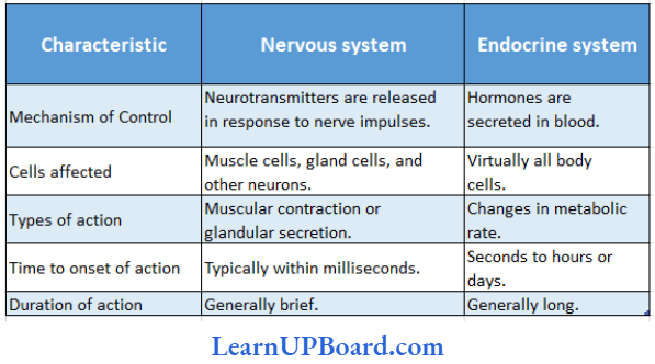 NEET Biology Chemical Coordination And Integration Differences Between Nervous System And Endocrine System