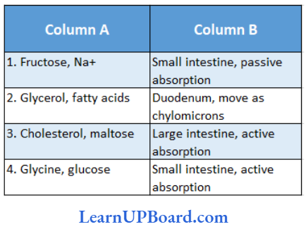 NEET Biology Digestion And Absorption Match The Column A And B