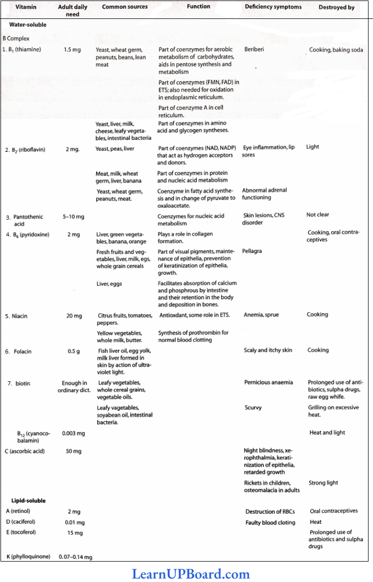 NEET Biology Digestion And Absorption Summary Of Human Vitamins