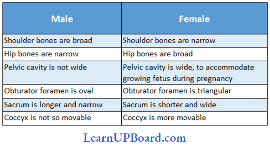 NEET Biology Locomotion And Movement General Differences In The Skeleton Of Male And Female