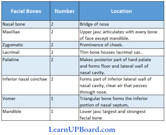 NEET Biology Locomotion And Movement Location And Number Of Facial Bones In Human