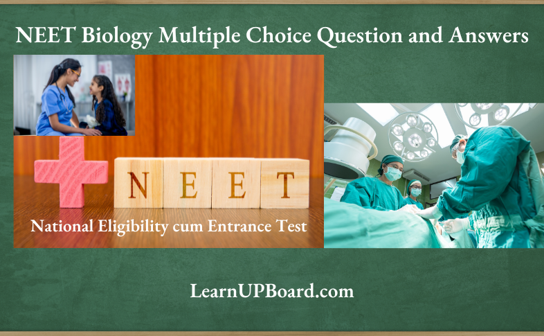NEET Biology Multiple Choice Question and Answers