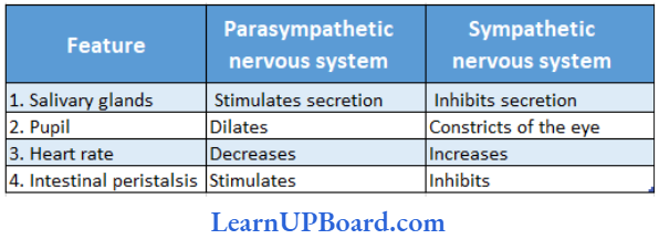 NEET Biology Neural Control And Coordination Given Below Is A Table Comparing The Effects Of Sympathetic