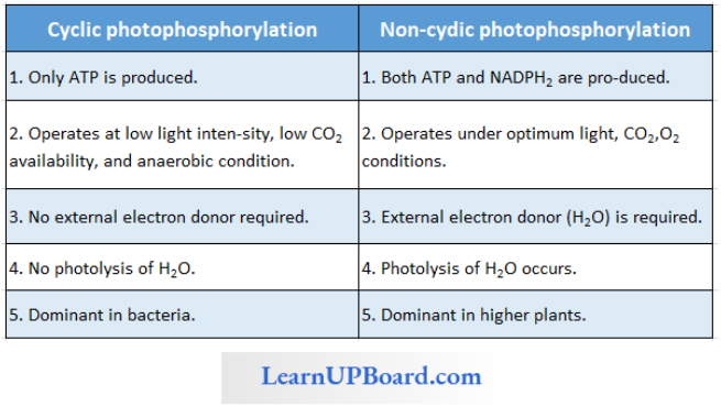 NEET Biology Photosynthesis In Higher Plants Difference Between Cyclic And Non Cyclic Photophosphorylation