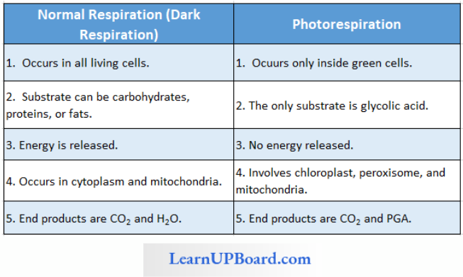 NEET Biology Photosynthesis In Higher Plants Differences Between Normal Respiration And Photorespiration