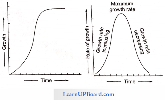 NEET Biology Plant Growth And Development Absolute Or Actual Growth Curve And Absolute Growth Rate Curve