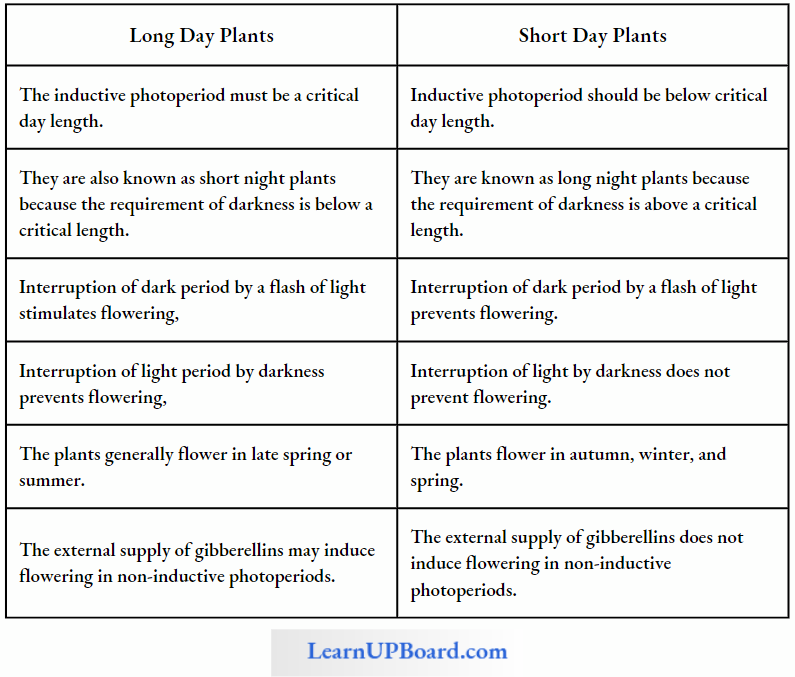 NEET Biology Plant Growth And Development Differences Between Long Day And Short Day Plants