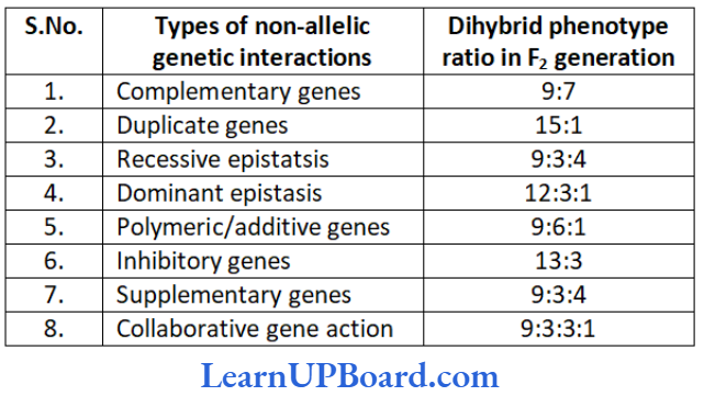 NEET Biology Principles Of Inheritance And Variation Dyhybrid phenotypic ratio