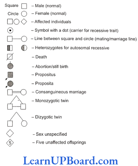 NEET Biology Principles Of Inheritance And Variation Symbols Used in Pedigree Analysis