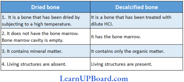 NEET Biology Structural Organization In Animals Differences Between A Dried Bone And A Decalcified Bone