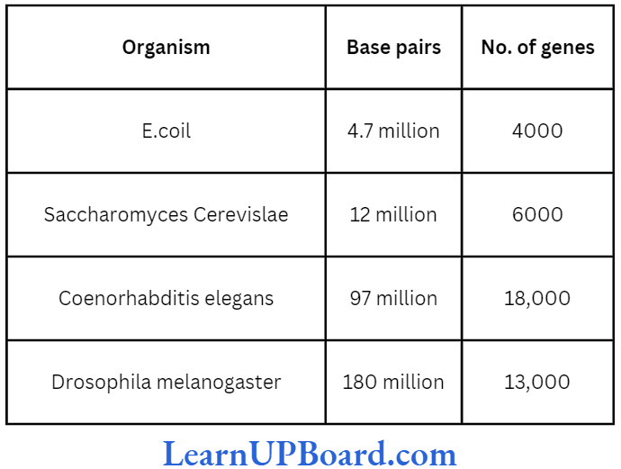 NEET Biology Molecular Basis Of Inheritance Organisms and the number of nucleotides and genes in them
