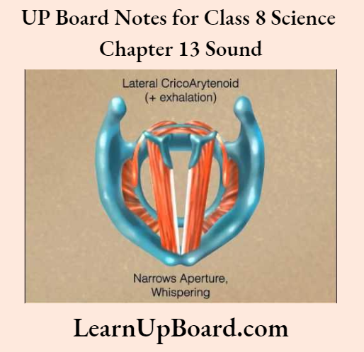 UP Board Notes For Class 8 Science Chapter 13 Sound Sound Activity 13