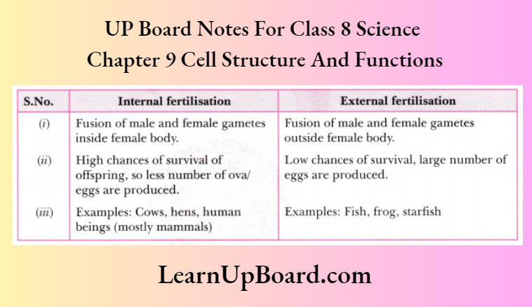 UP Board Notes For Class 8 Science Chapter 9 Cell Structure And Functions Differentiate between internal fertilisation and external fertilisation.