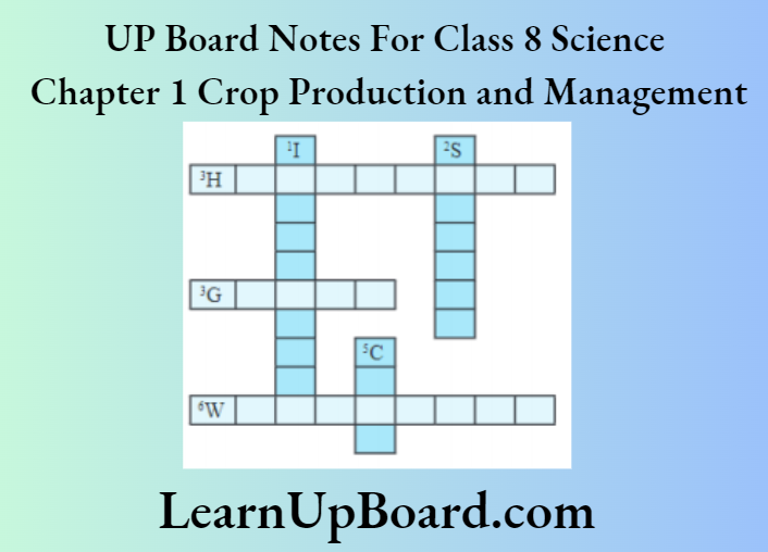 UP Board Notes for Class 8 Science Chapter 1 Crop Production And Management Word Puzzule