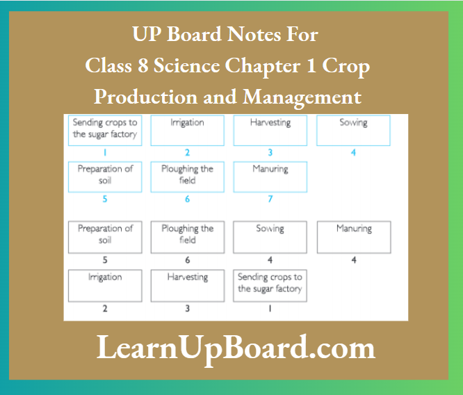 UP Board Notes for Class 8 Science Chapter 1 Crop Production And Management a flow chart of sugarcane crop production.