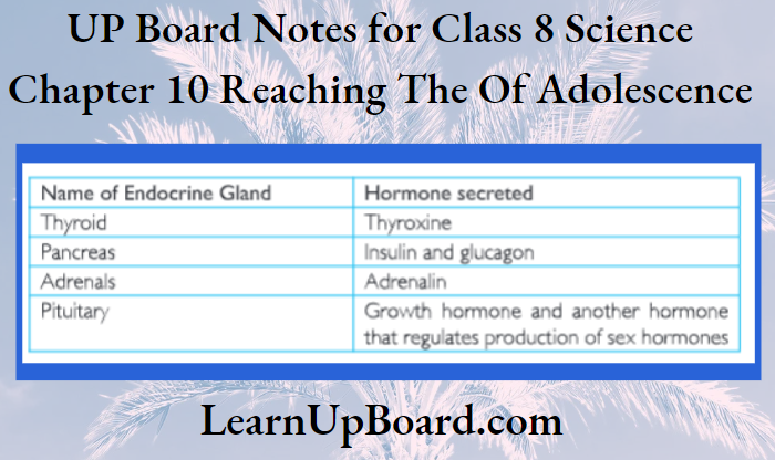 UP Board Notes for Class 8 Science Chapter 10 Reaching The Of Adolescence Prepare a table having two columns depicting names of endocrine glands and hormones secreted by them