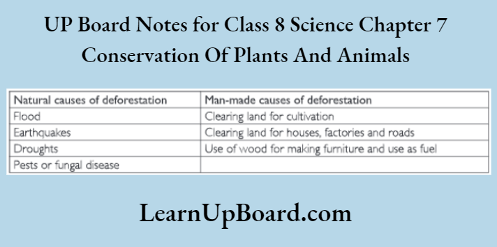 UP Board Notes for Class 8 Science Chapter 7 Conservation Of Plants And Animals Natural Causes Of Deforestation And Man Made Causes Of Deforestation