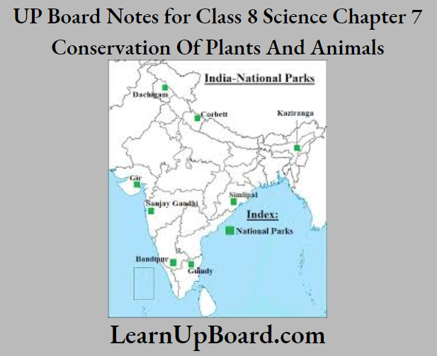 UP Board Notes for Class 8 Science Chapter 7 Conservation Of Plants And Animals Some of the national parks of India are marked in the map