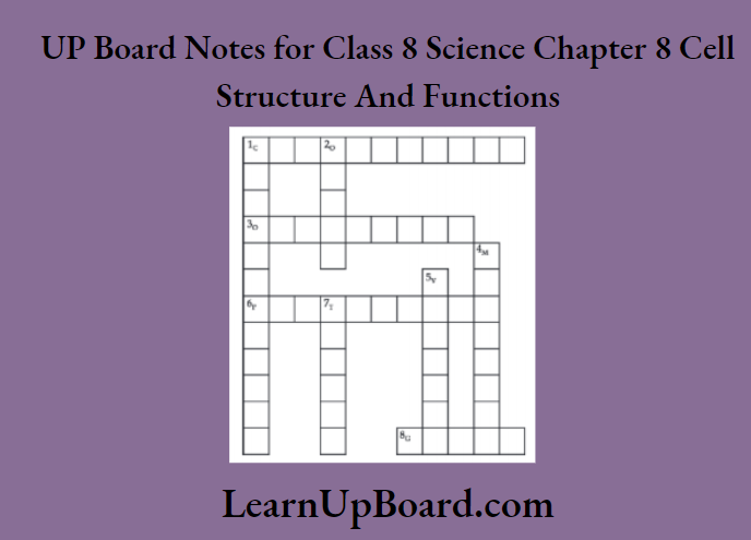 UP Board Notes for Class 8 Science Chapter 8 Cell Structure and Functions Cross And Down